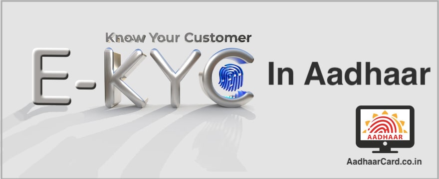 Aadhaar Paperless Local e-KYC: How to Generate for Offline Data Verification