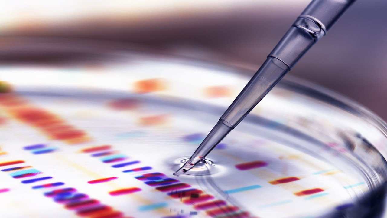 THE LARGEST BIOTECHNOLOGY AND PHARMACEUTICAL COMPANIES