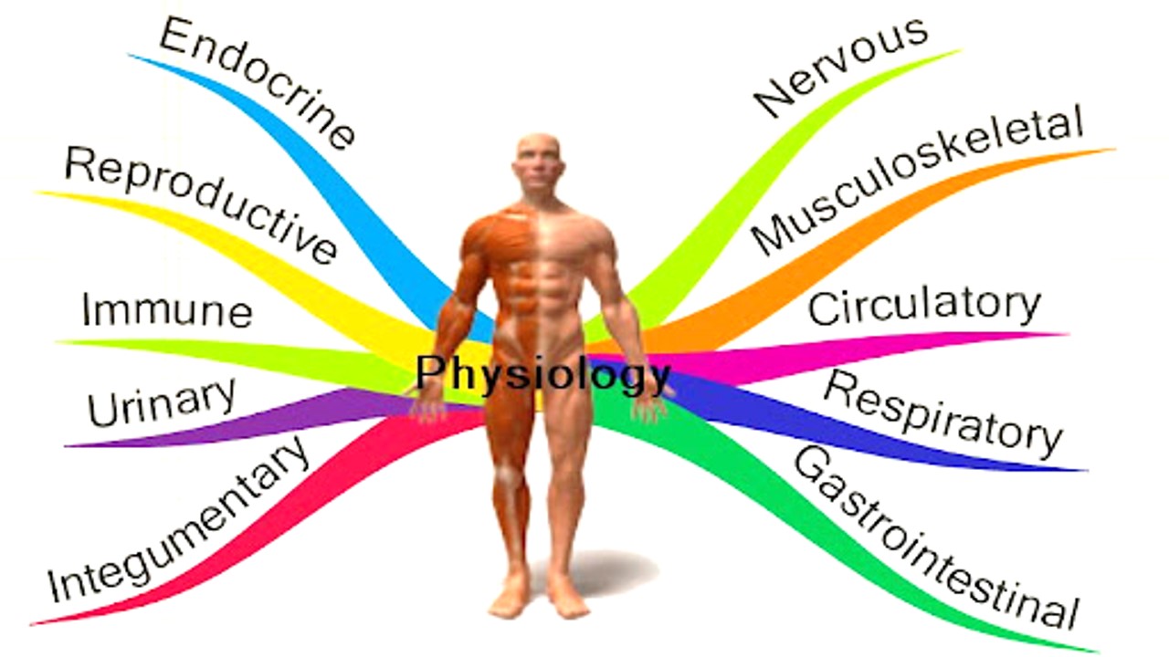 Physiology (शरीर क्रिया विज्ञान) Meaning in Hindi