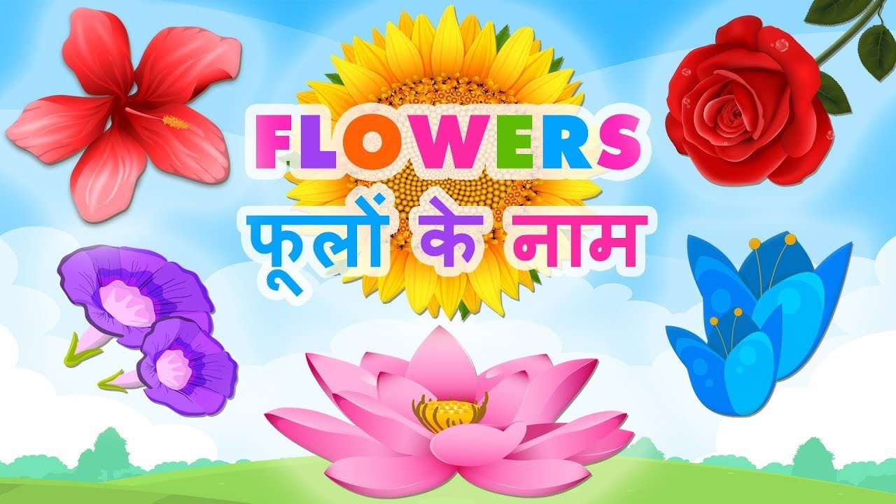 List of Flowers name in Hindi and english | Flowers name in Hindi (फूलों के नाम)