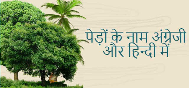 Names of Trees in English and Hindi 