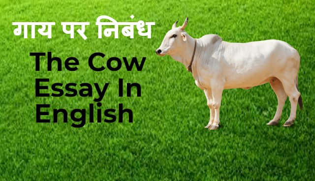 गाय पर निबंध – The Cow Essay In English