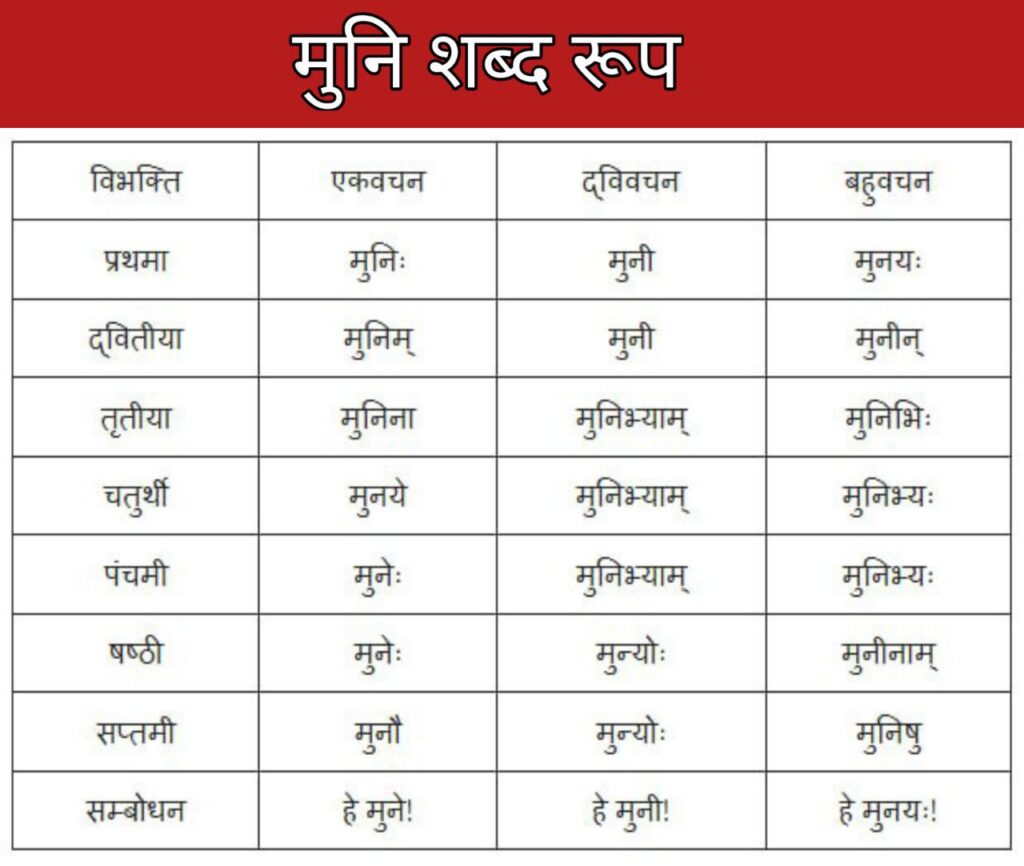 मुनि शब्द रूप | Muni Shabd Roop In Sanskrit 1 Muni Shabd Roop In Sanskrit