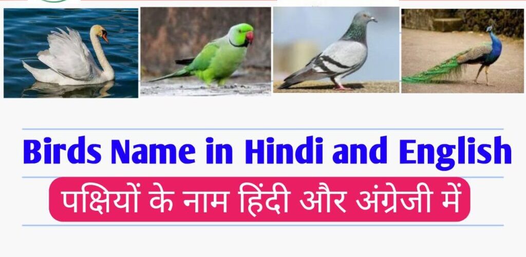 Birds Name in Hindi