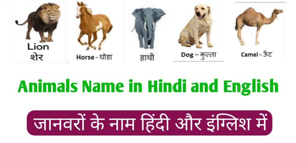 Animals Name In Hindi And English