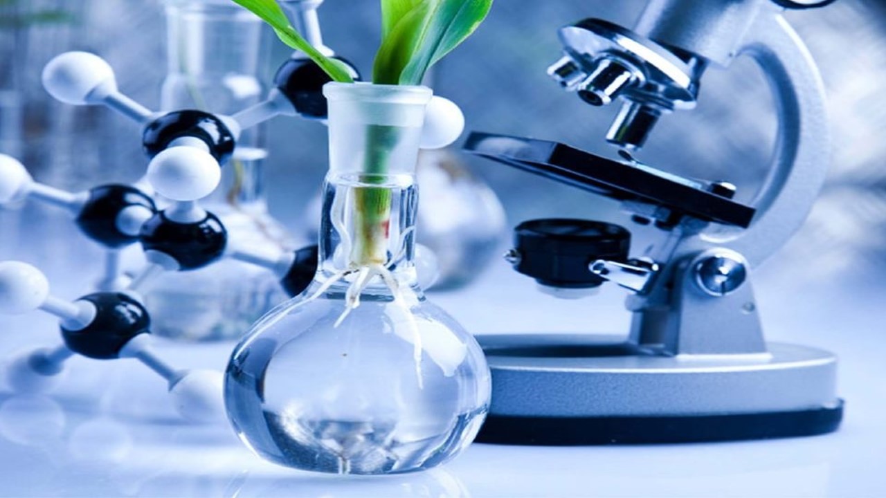 There Is Still A Need Of Advancement In Biotechnology To Secure The Future Generation