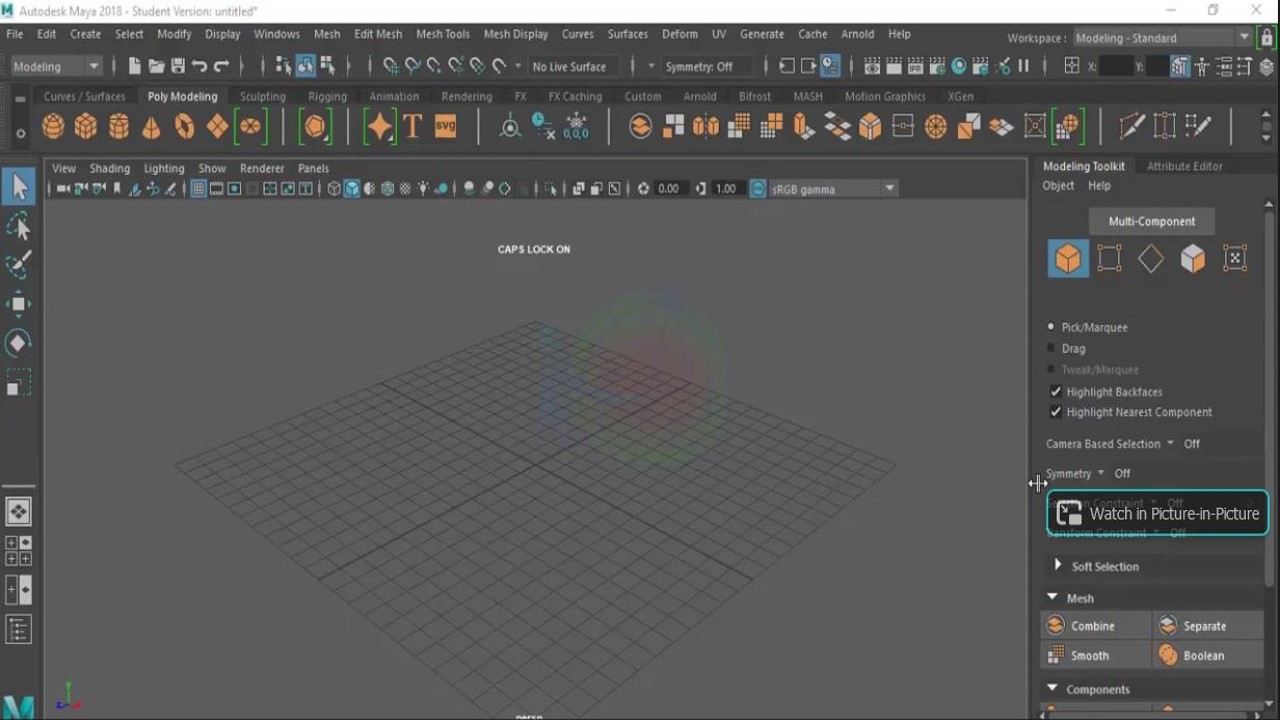 Modeling Sculpting Rigging Rendering FX-FX Catching Motion Graphics-Curves-Surfaces UV Arnold