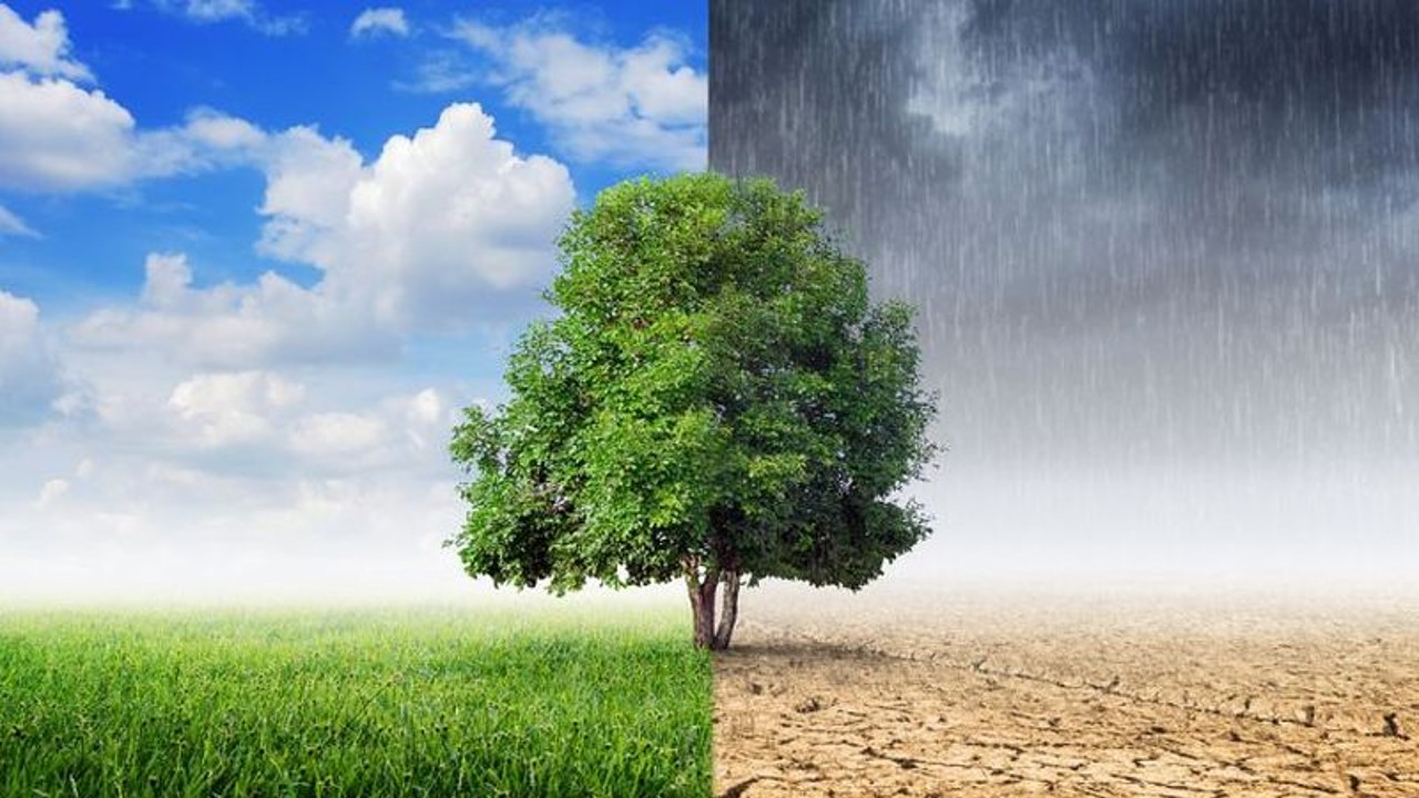 Climate vs Weather – Difference and Comparison