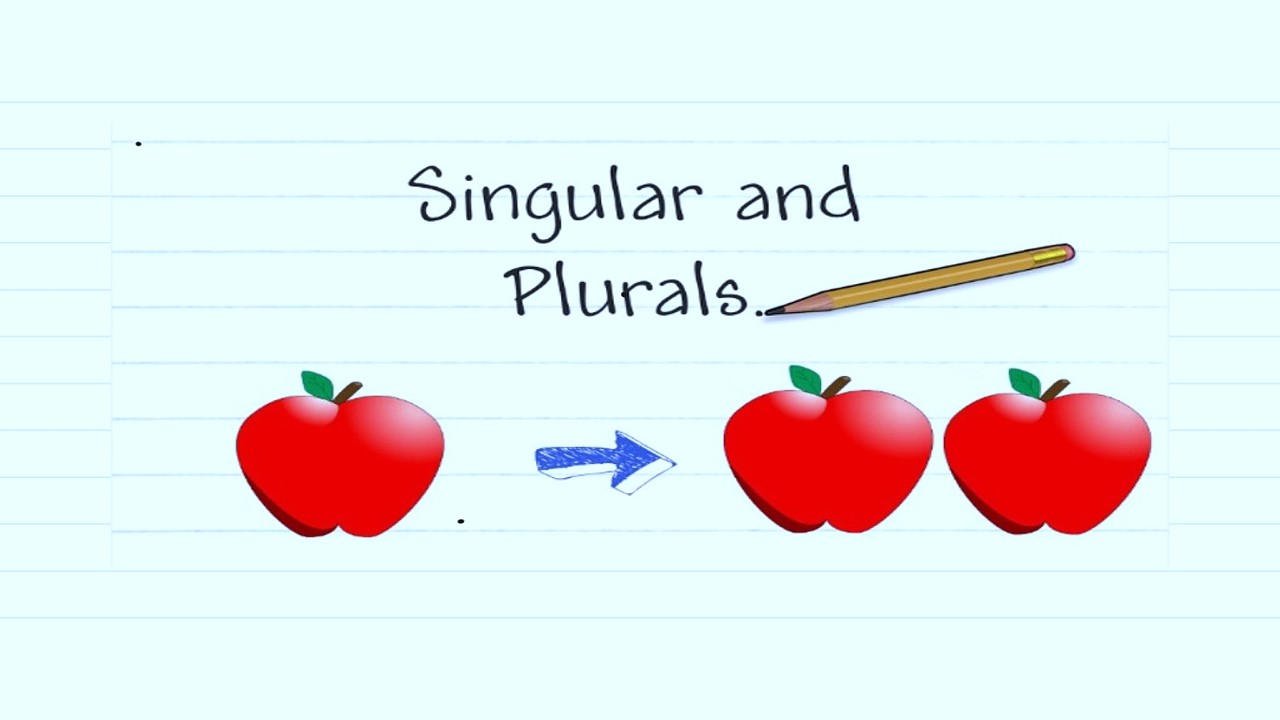 90 Singular and Plural Words