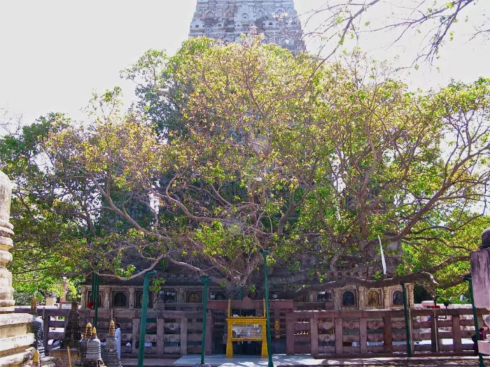 Bodh Gaya Temple - Tourist Guide Hotels and More Bodh Gaya Temple - Tourist Guide Hotels and More