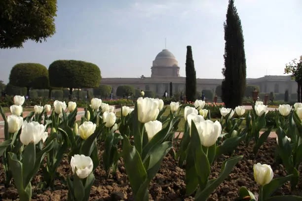 Rectangular garden - Mugal Garden, Delhi Rectangular garden - Mugal Garden, Delhi