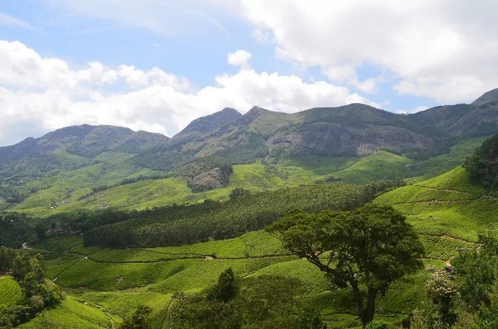 munnar, Best Places for Honeymoon in India munnar, Best Places for Honeymoon in India