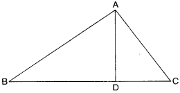 NCERT Solutions for Class 6 Maths Chapter 4 Basic Geometrical Ideas 23