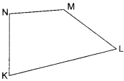 NCERT Solutions for Class 6 Maths Chapter 4 Basic Geometrical Ideas 25