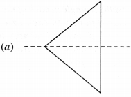 NCERT Solutions for Class 6 Maths Chapter 13 Symmetry 28