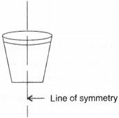 NCERT Solutions for Class 6 Maths Chapter 13 Symmetry 4