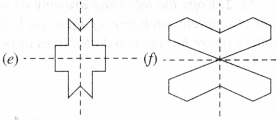 NCERT Solutions for Class 6 Maths Chapter 13 Symmetry 51