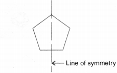 NCERT Solutions for Class 6 Maths Chapter 13 Symmetry 7