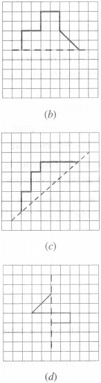 NCERT Solutions for Class 6 Maths Chapter 13 Symmetry 9