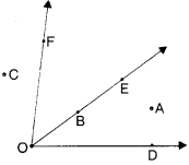 NCERT Solutions for Class 6 Maths Chapter 4 Basic Geometrical Ideas 18