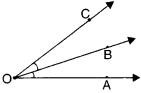 NCERT Solutions for Class 6 Maths Chapter 4 Basic Geometrical Ideas 19