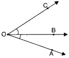 NCERT Solutions for Class 6 Maths Chapter 4 Basic Geometrical Ideas 21