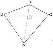 NCERT Solutions for Class 6 Maths Chapter 4 Basic Geometrical Ideas 24