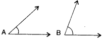 NCERT Solutions for Class 6 Maths Chapter 5 Understanding Elementary Shapes 12