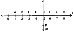 NCERT Solutions for Class 6 Maths Chapter 5 Understanding Elementary Shapes 21