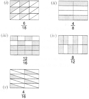 NCERT Solutions for Class 6 Maths Chapter 7 Fractions 25