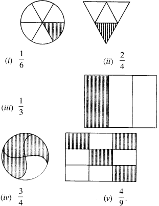 NCERT Solutions for Class 6 Maths Chapter 7 Fractions 6