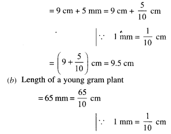 NCERT Solutions for Class 6 Maths Chapter 8 Decimals 14