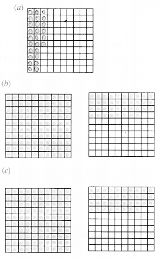 NCERT Solutions for Class 6 Maths Chapter 8 Decimals 17